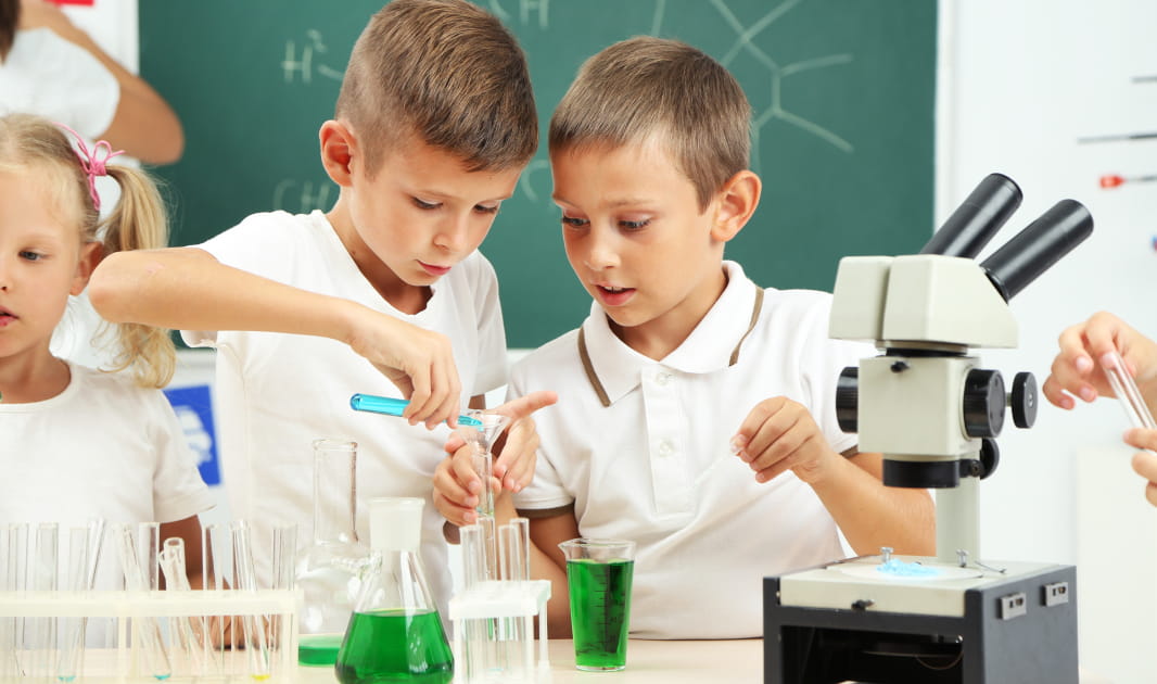 Summer camp Plano TX STEAM activity for school-age children at Palm Grove